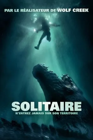 Affiche du film Solitaire