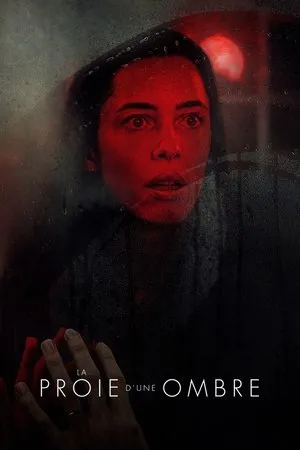 Affiche du film La Proie d'une ombre