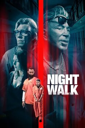 Affiche du film Night Walk