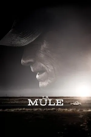 Affiche du film La Mule