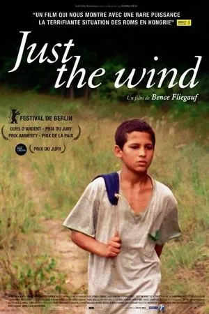 Affiche du film Just the wind