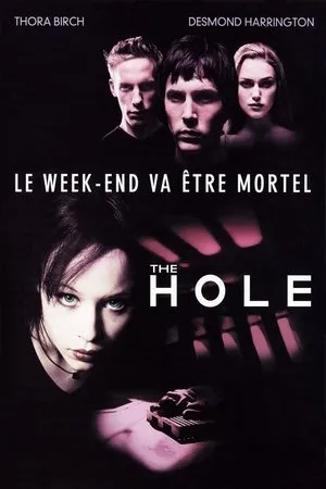 Affiche du film The Hole