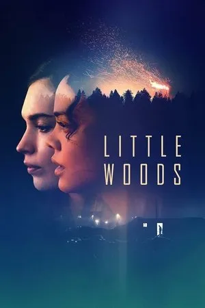 Affiche du film Little Woods