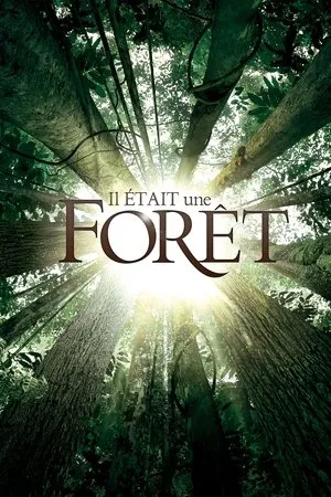 Affiche du film Il était une forêt