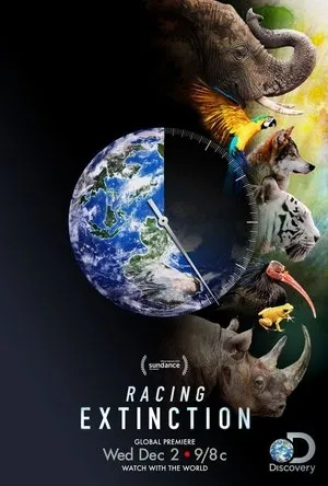 Affiche du film Racing Extinction