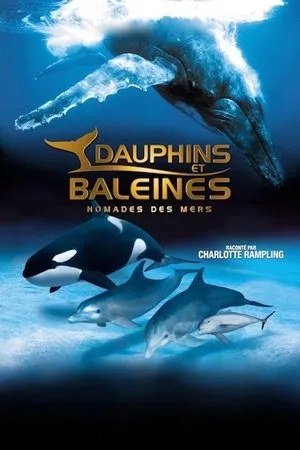 Affiche du film IMAX Dauphins et baleines : Nomades des mers