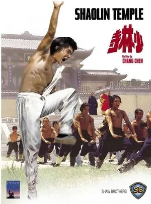 Affiche du film Le Temple de Shaolin