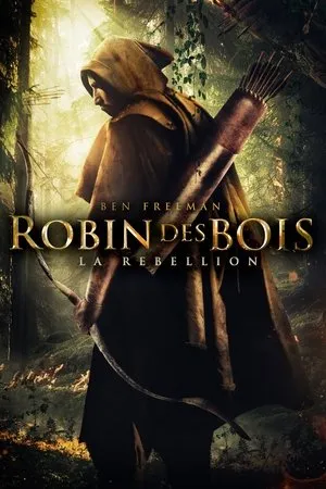 Affiche du film Robin des bois : La rébellion