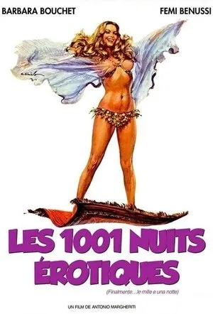 Affiche du film Les mille et une nuits érotiques