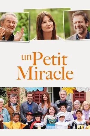 Affiche du film Un petit miracle