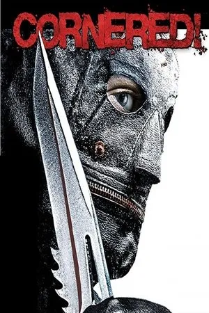 Affiche du film Cornered !
