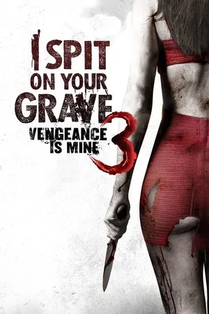 Affiche du film I Spit on Your Grave 3 : Vengeance is Mine