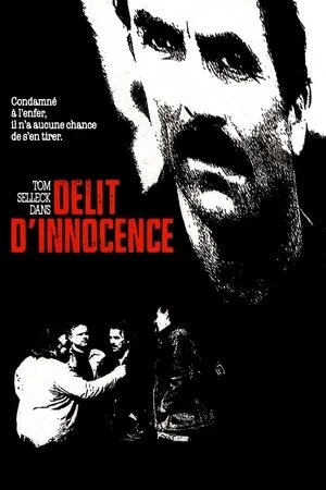 Affiche du film Délit d'innocence