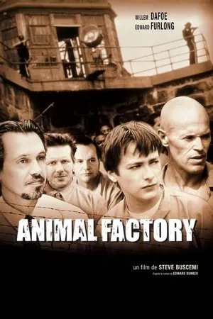 Affiche du film Animal Factory