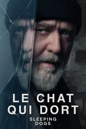 Affiche du film Sleeping Dogs