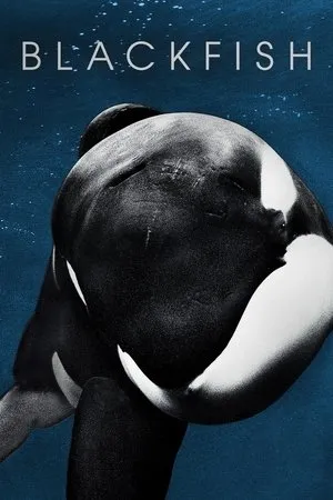 Affiche du film Blackfish