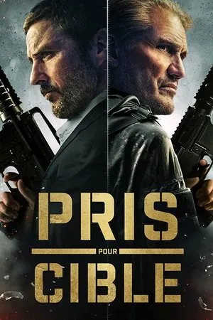 Affiche du film Pris Pour Cible