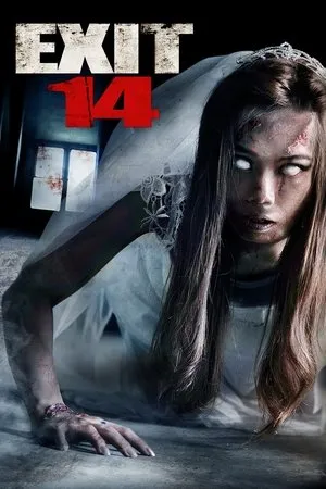 Affiche du film Exit 14