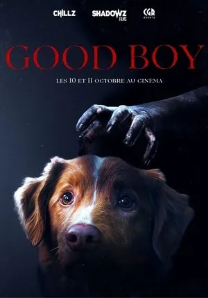 Affiche du film Good Boy