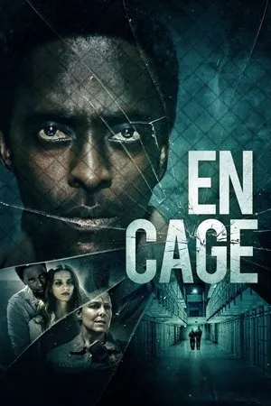 Affiche du film En cage