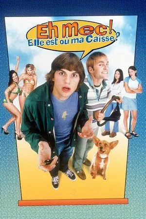 Affiche du film Eh mec ! Elle est où ma caisse ?