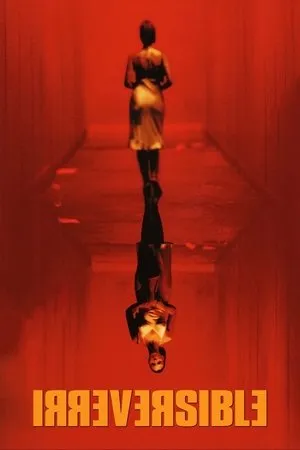 Affiche du film Irréversible