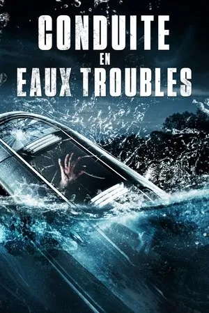 Affiche du film Conduite en eaux troubles