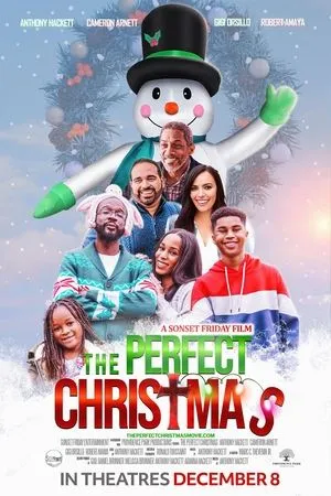 Affiche du film The Perfect Christmas