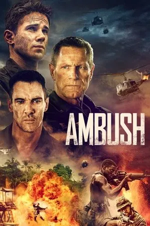 Affiche du film Ambush