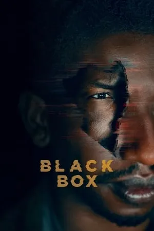 Affiche du film La Black Box