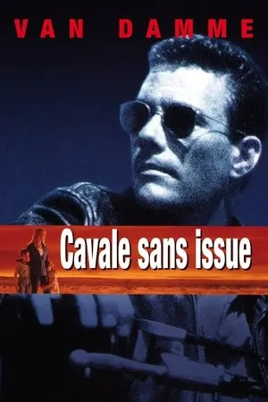 Affiche du film Cavale sans issue
