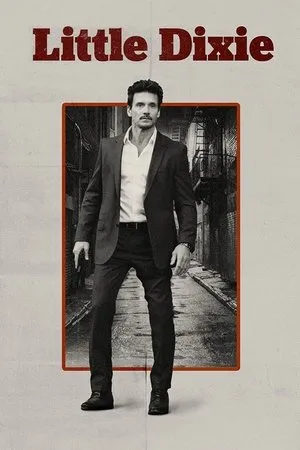 Affiche du film Little Dixie