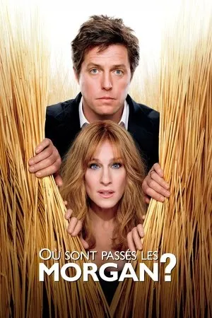 Affiche du film Où sont passés les Morgan ?