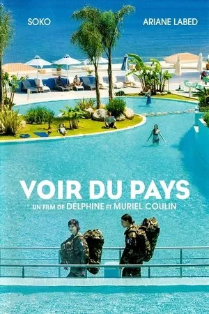 Affiche du film Voir du pays