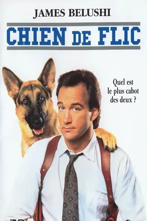 Affiche du film Chien de flic