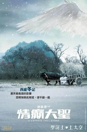 Affiche du film La Technique du Chinois