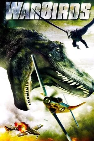 Affiche du film Warbirds