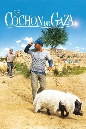 Affiche du film Le Cochon de Gaza
