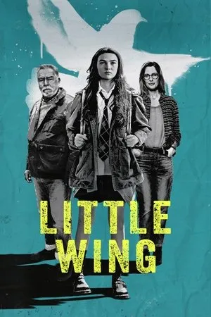 Affiche du film Little Wing