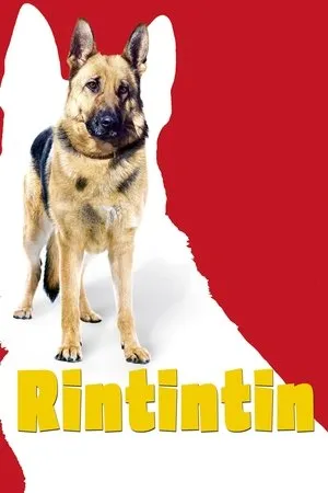 Affiche du film Rintintin
