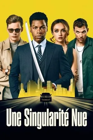 Affiche du film Une singularité nue