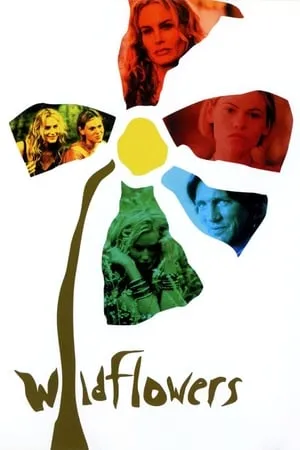 Affiche du film Wildflowers