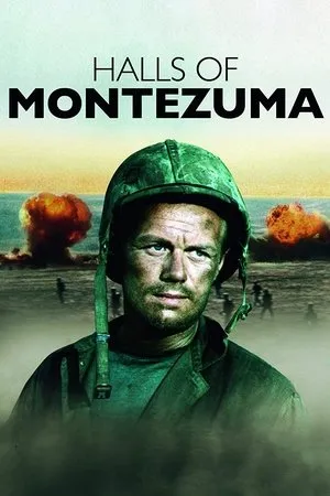 Affiche du film Okinawa