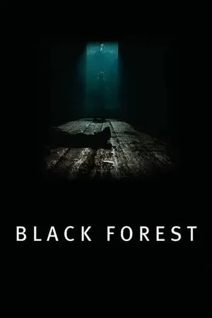 Affiche du film Les Secrets de la forêt noire