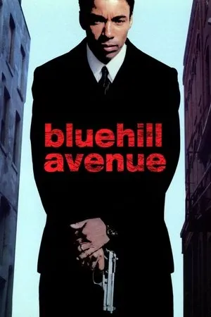 Affiche du film Blue Hill Avenue