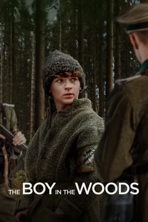 Affiche du film The Boy in the Woods