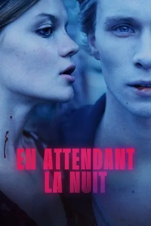 Affiche du film En attendant la nuit