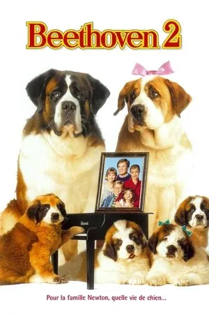 Affiche du film Beethoven 2