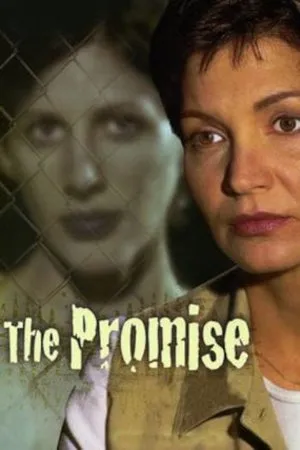 Affiche du film La promesse d'une mère