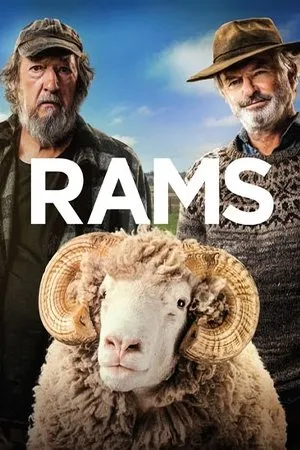 Affiche du film Rams